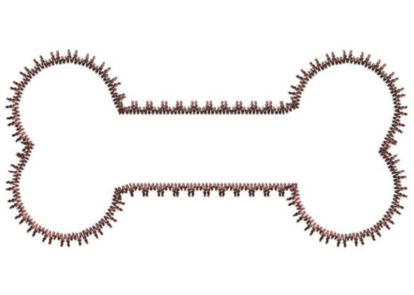 Elegant Dog Bone Embroidery Design for Holiday Crafts